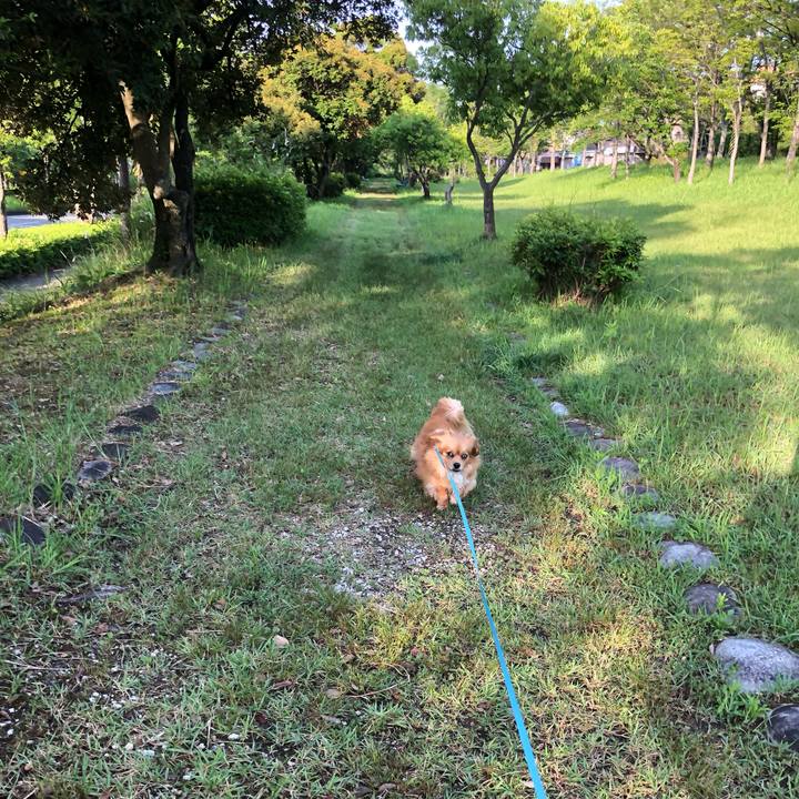 Febd6817 75f9 4da0 800e f46e6ce72bc1 1560461580193