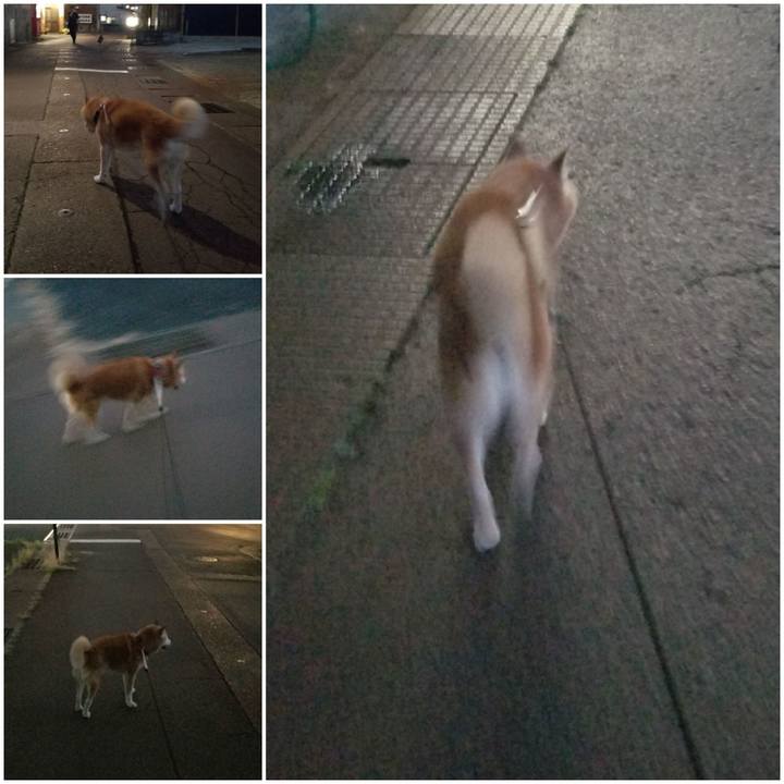 Febd69df f21a 4eef 9f7b 4a3900c1d7ec 1754044649117