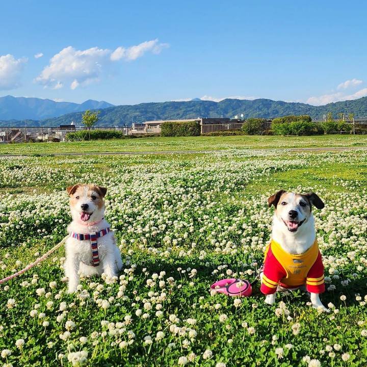 Febd88b4 5502 4706 99d3 cdb02108475c 1745971525971