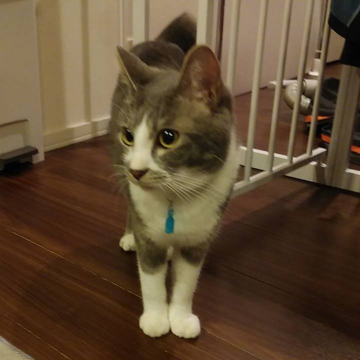 Febdbdf8 344b 4d85 8152 924911f459ad 1588600381696