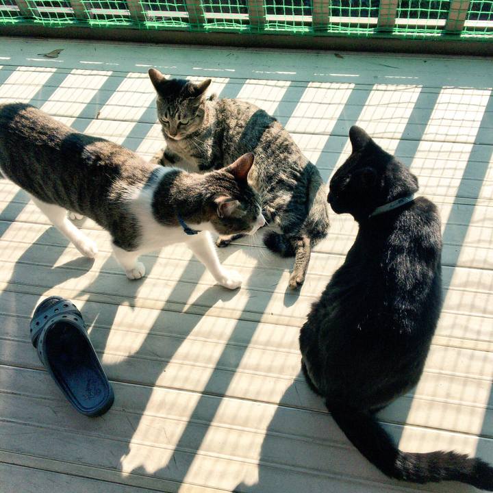 Febdf5b4 81b5 4766 87c0 eff7141ebe29 1512693919890