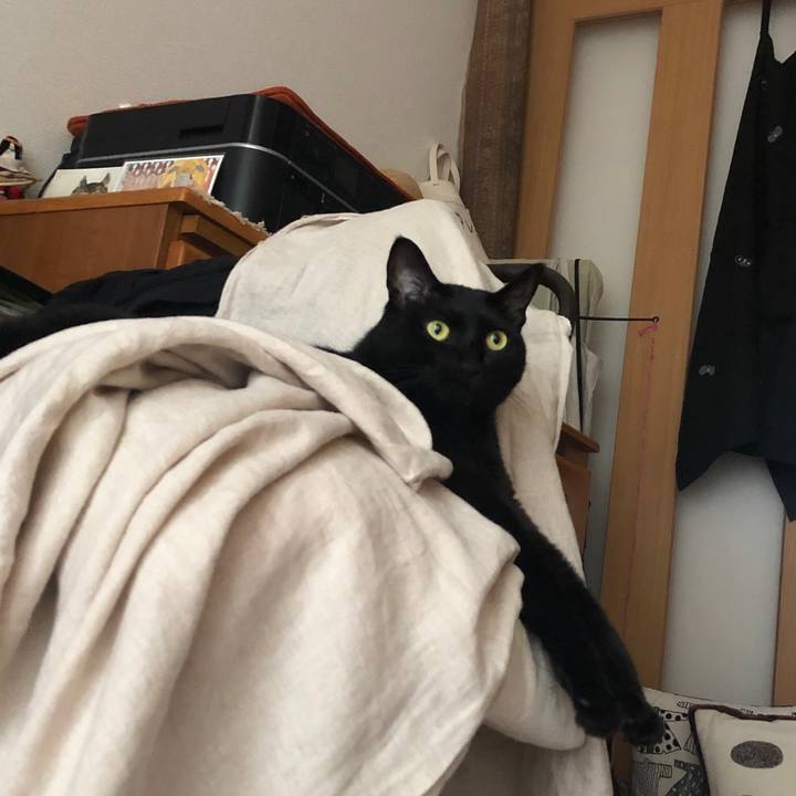 Febe1248 75ef 4957 a60e f5188d1c72e4 1570148632047