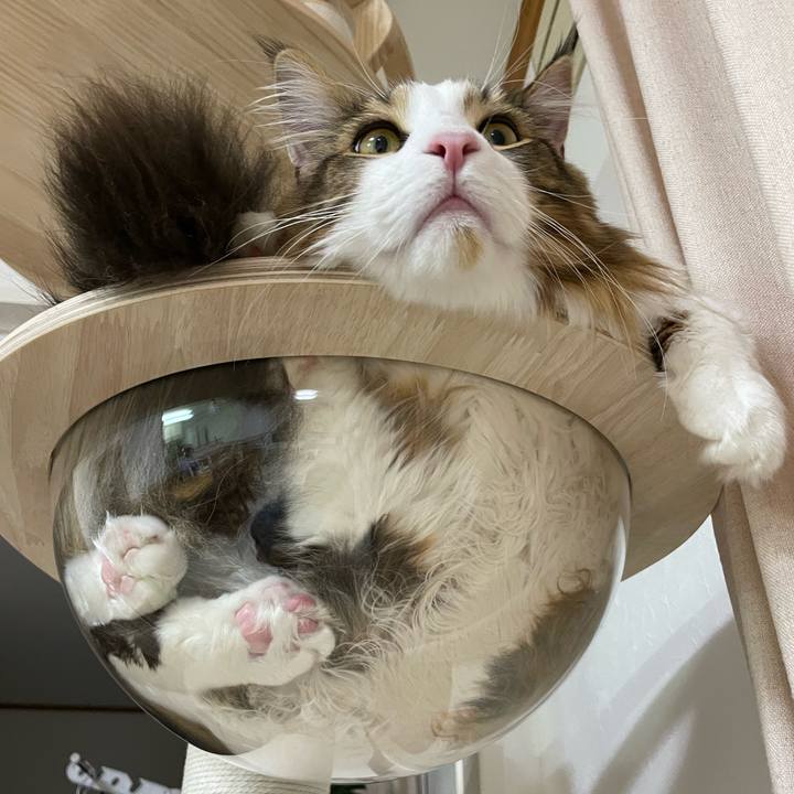 Febe2eda 6dd8 4028 8a99 6ae1932edb59 1650374721967