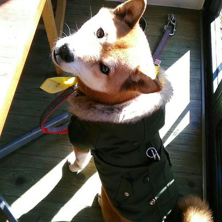 Febe4438 4504 4f06 8812 bb9446833c0d 1547348029532