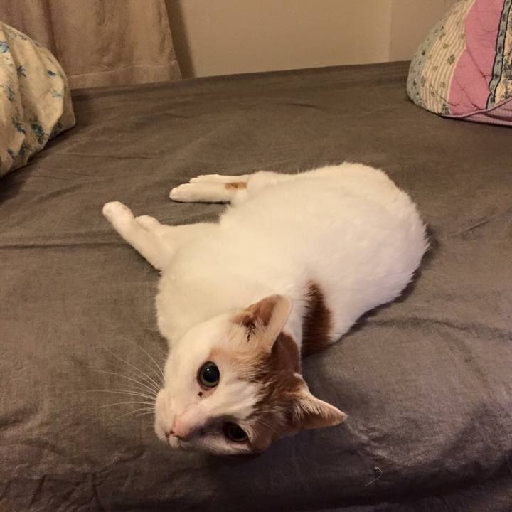 Febe5c91 301c 4e2a aede c7cab29dda70 1516495468536