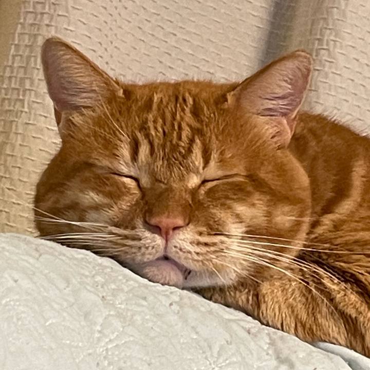 Febe5f41 df1a 41e2 941d 34e209e6042e 1654602921865