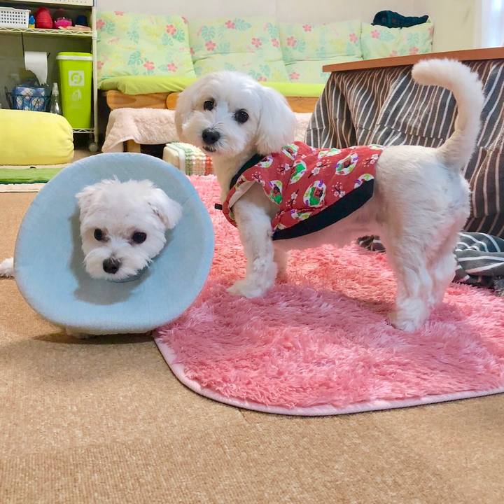 Febe807f b242 4090 9b4f e4001aed74ed 1542082087861