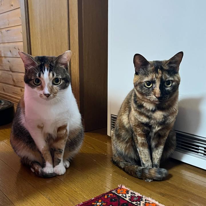 Febe857c 3eb5 46a9 9eab fb0c521c67f1 1762553644857