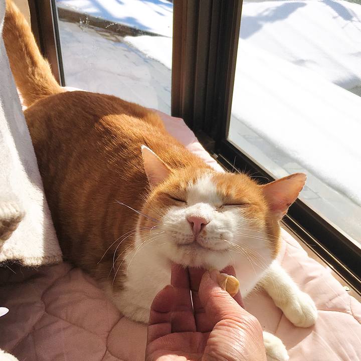 Febe9744 6e51 4e96 9fb2 ee71da04e74c 1608524626894