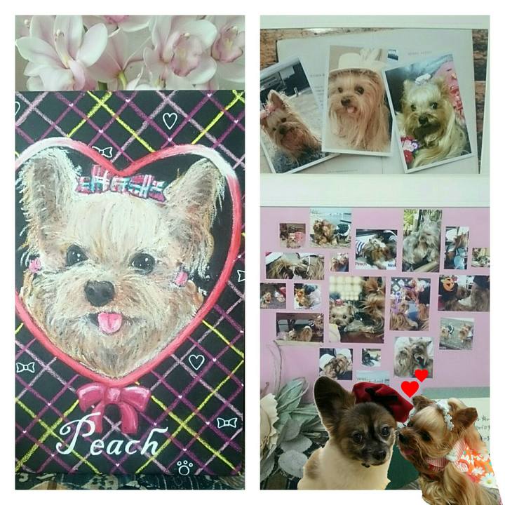 Febece0c bea2 4411 91bf 96a9e61c6a1d 1546936658495