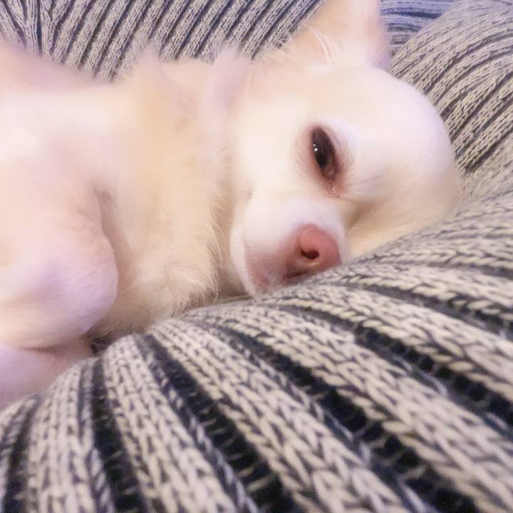 Febf5609 befc 42e5 bfd3 04d1ba7513f8 1750597090285