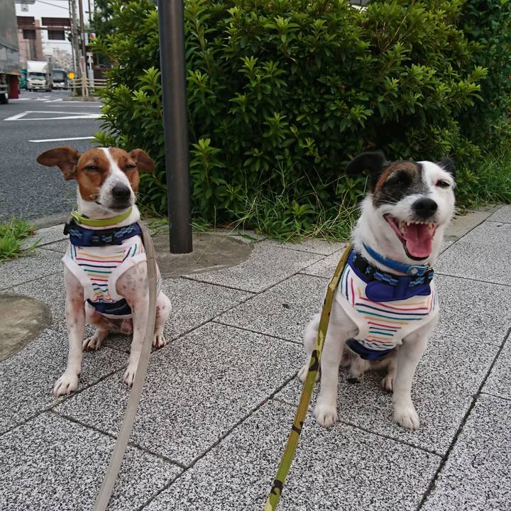 Febfa3f9 fa9a 4266 818d 36bffa8a42b8 1566162669825