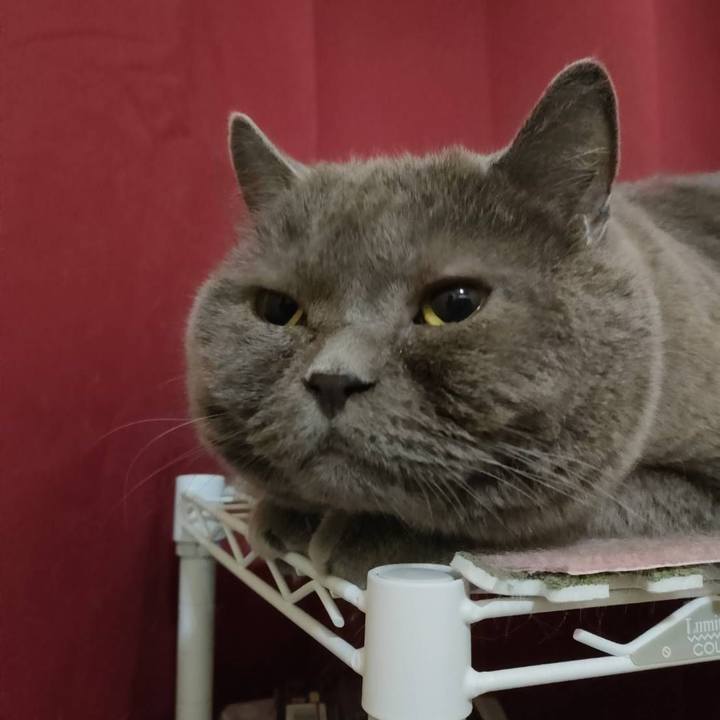 Febfcea7 da66 4a7e a8f7 15bdf9128443 1632999852910