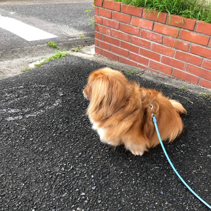 Febff6c6 4d72 43d8 888b fa01b8e2b9ac 1564003059420