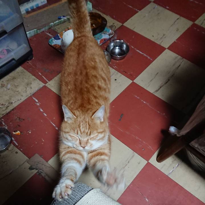 Febff7e2 51c0 49ea 9c22 d8104ca0164a 1577823763917