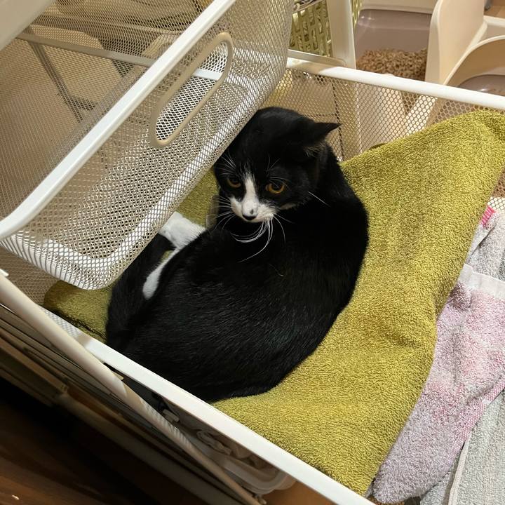 Fec013d5 81c2 4719 be0b 7d8f54f853ed 1720782804943