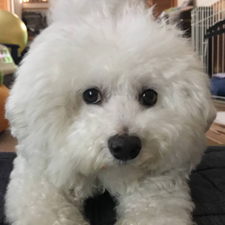 Fec036bd 6fb9 48b3 8078 d322218079c7 1527234881353