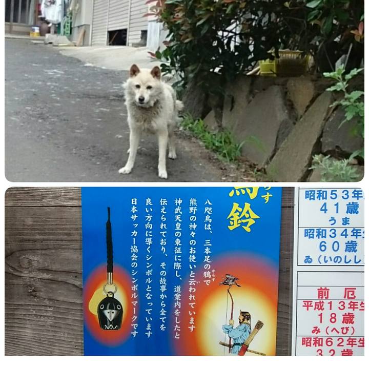 Fec05775 9858 4885 b503 75075d20ff82 1531791225175