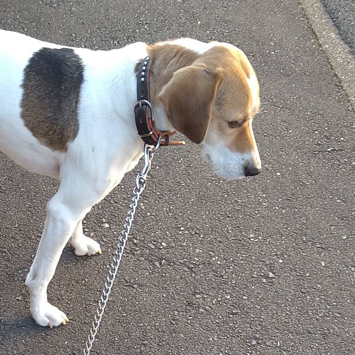 Fec0b074 6cf6 4688 83e4 e1a58ff97ebf 1641299499996