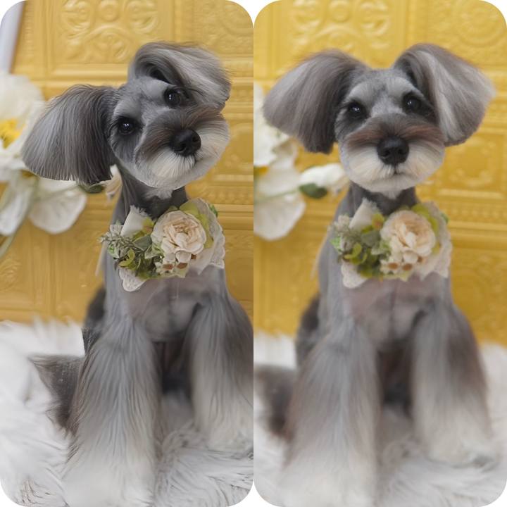 Fec0b4cb 7f16 466f 9ab2 c612f40ef7a3 1717241734825