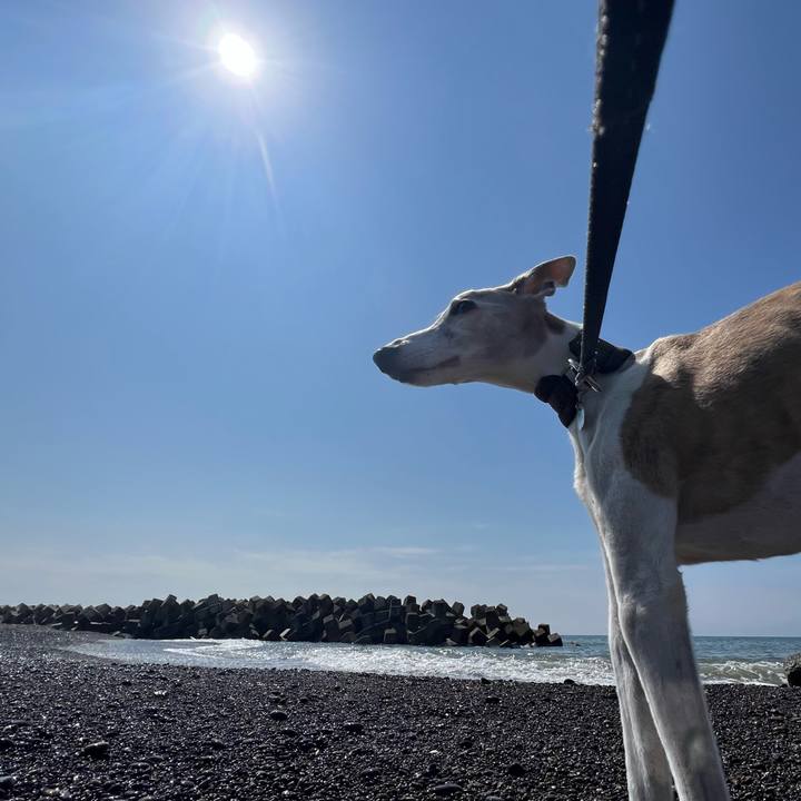 Fec11c94 d074 49be 98d0 01a5bc5467c1 1775463510277