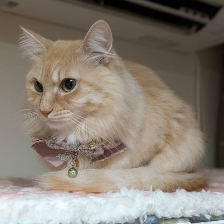 Fec184b7 924c 4ee0 a02a b08cf5451906 1734990803565