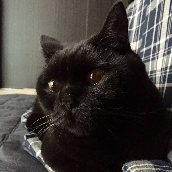 Fec18928 fca2 49eb a554 e56e1f8eb73d 1514527695475