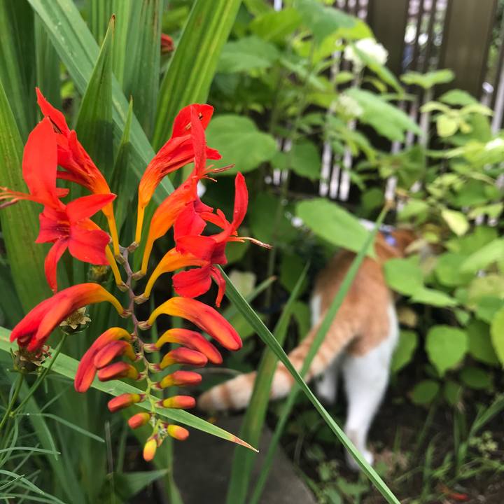 Fec19cd2 4ed3 4172 a0b7 20934f85e8cd 1531037856911