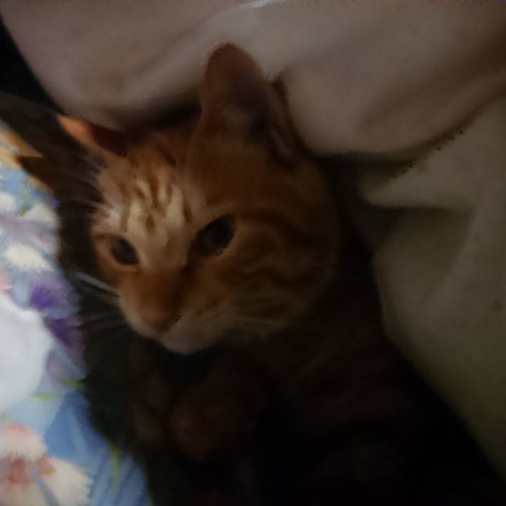 Fec1a760 8459 444a 82aa 53d8f5e48ca1 1642020756870