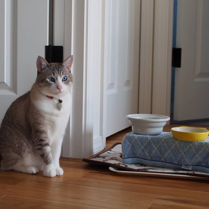 Fec1b307 ef4e 473d 808f d1fade1ed50b 1593826188485