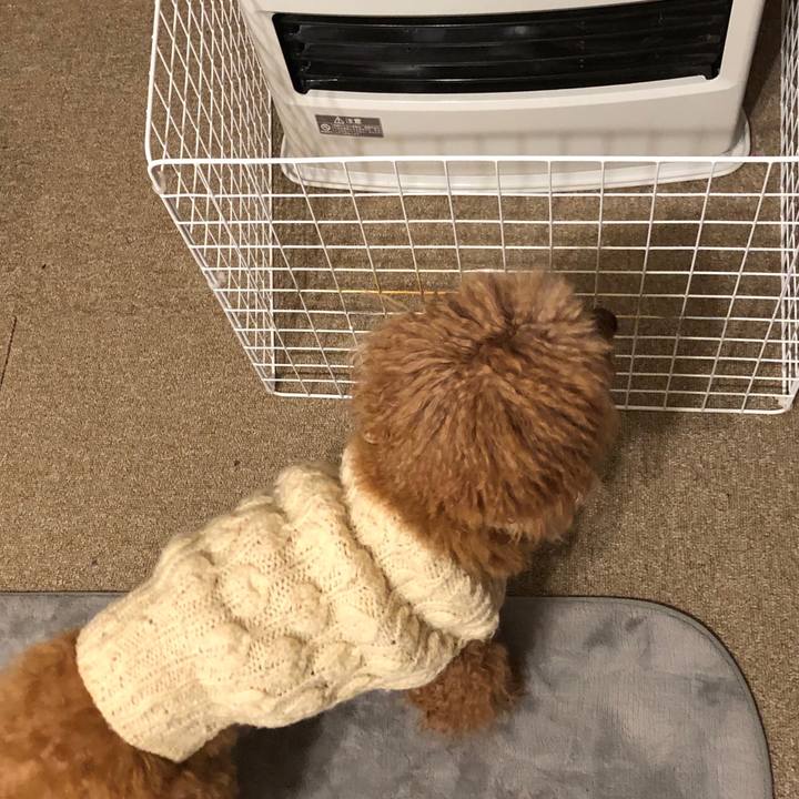 Fec1b78d f6bc 414c 9e0a 703bae59abe3 1544270388517