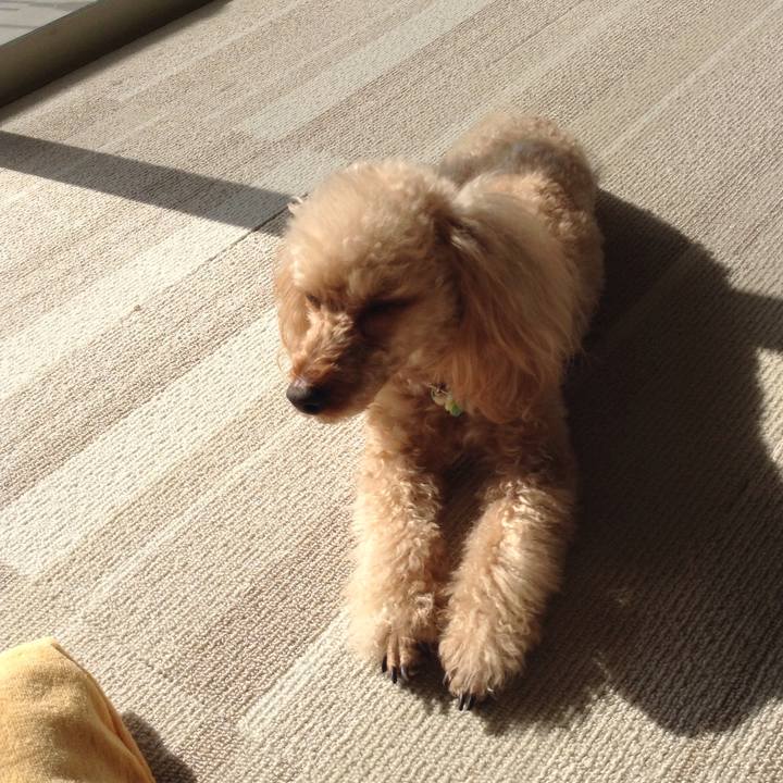 Fec1c436 7208 4488 b1e2 194687aa25d9 1519435041141