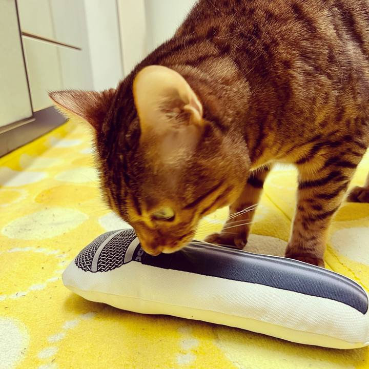 Fec1e551 4d0c 4536 8974 66832b6ffb5c 1647920479642