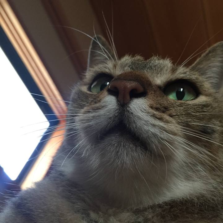 Fec207a3 e2ae 4790 aac0 2d4ca644aa6e 1566427240304