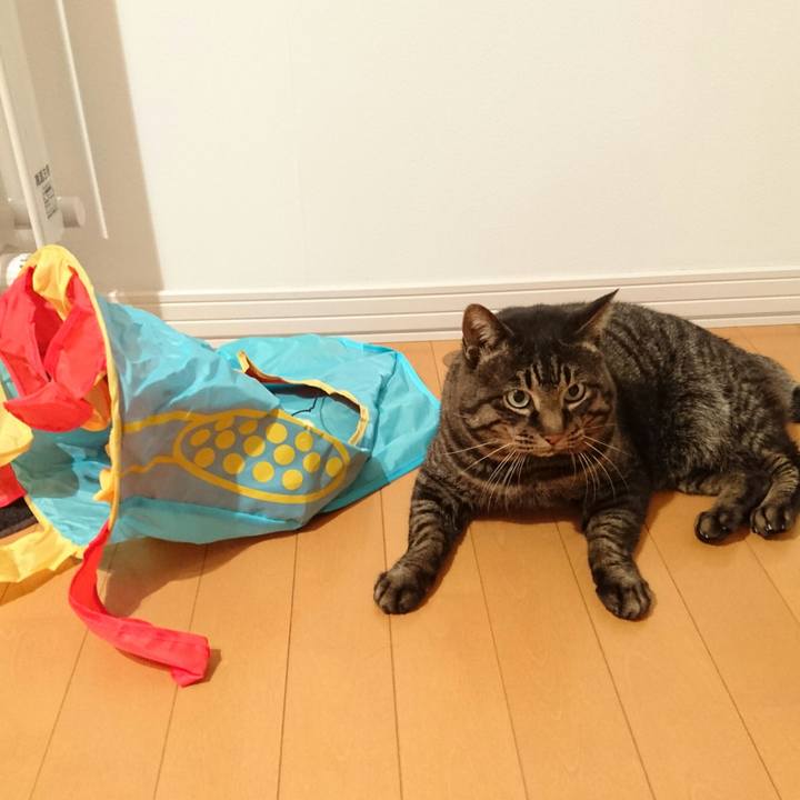 Fec22140 4565 4c3e 8f73 475b77cccf30 1514114548080