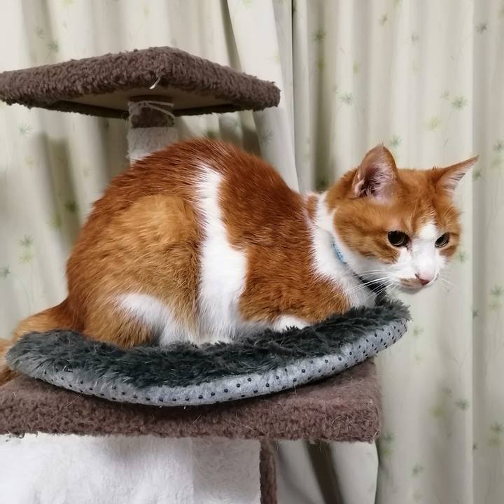 Fec24cfb 02b5 4b23 ae13 76c47ff73659 1613941614795