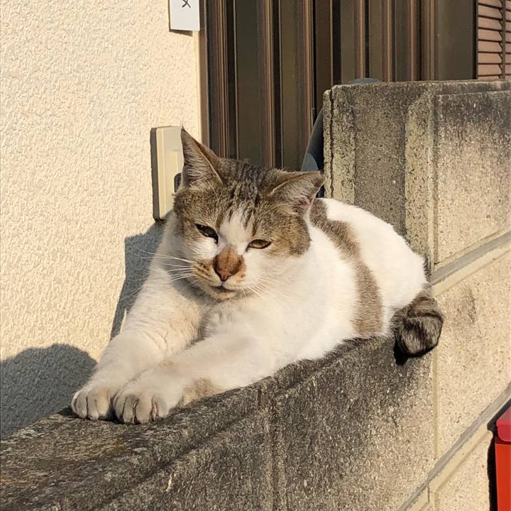 Fec26be1 2d0b 46c2 9ee2 280753ed9d19 1519633949000