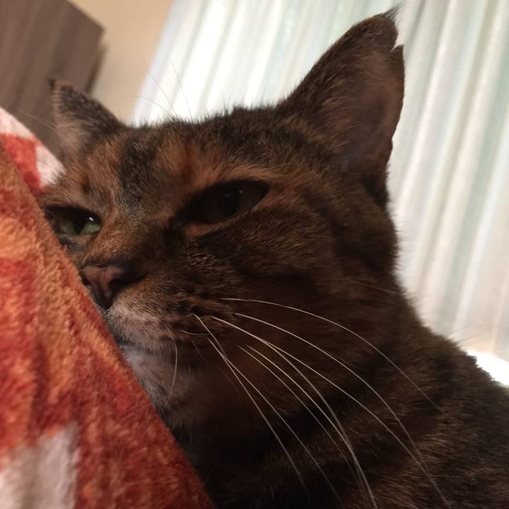 Fec29182 1d93 4997 a6fd bdf9f4231816 1557817619574