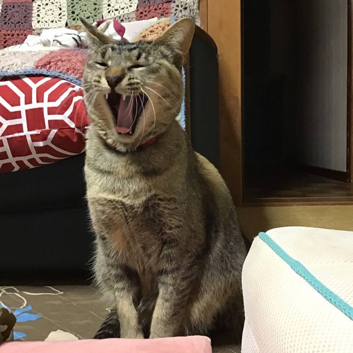 Fec299ca f914 4c78 8b85 4d341eb7cdc3 1584971290090