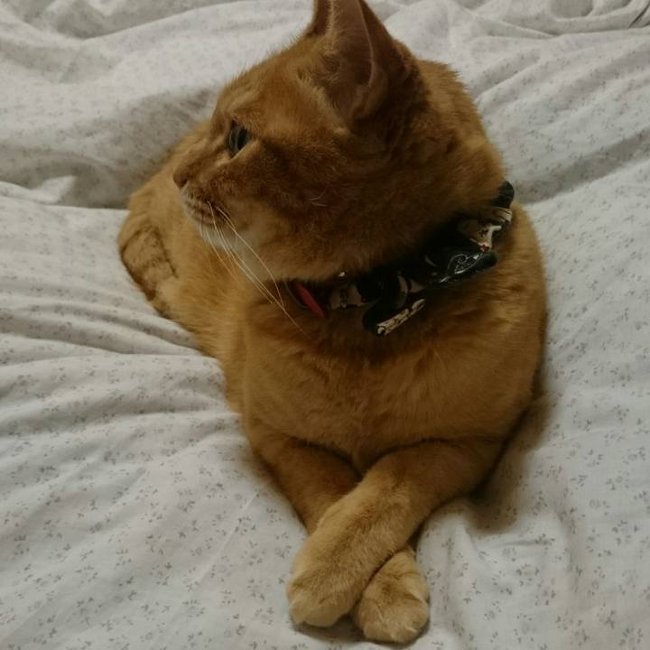 Fec2cb41 0c5d 4bb7 acb9 35a80d6e7062 1525196431927