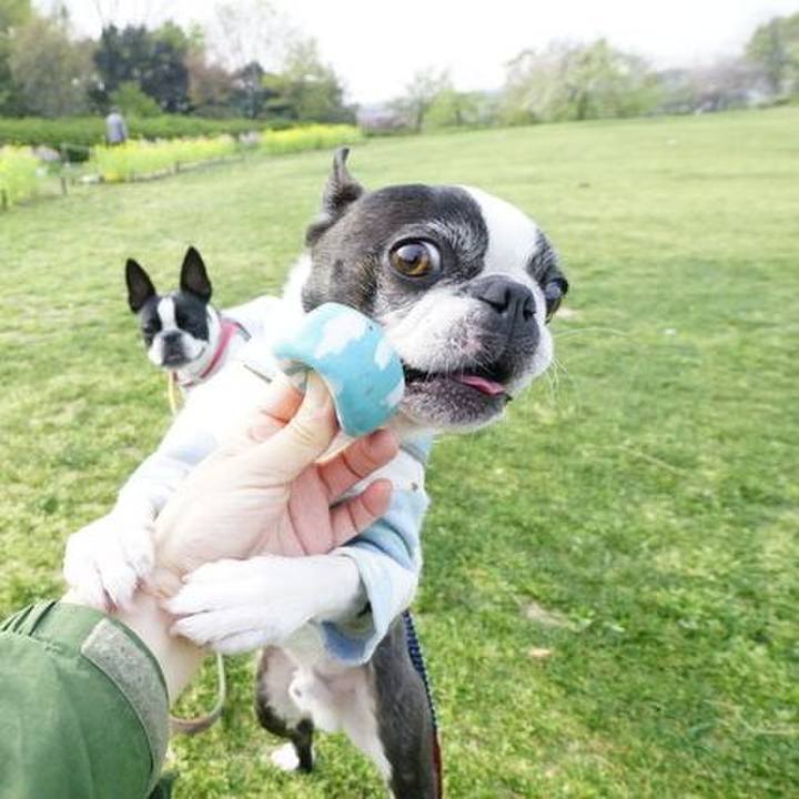 Fec2d6a5 1c6f 49b7 ac9c 3b8c6f4dbbd4 1522728395699