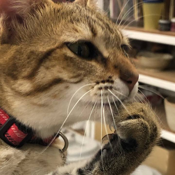 Fec2dc68 5141 4900 8cb7 677961eeefaf 1599619900586