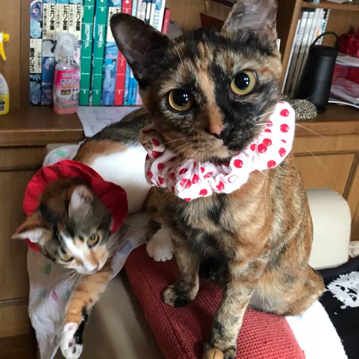 Fec30c94 4073 4907 828d df7f4be5b635 1620861215502