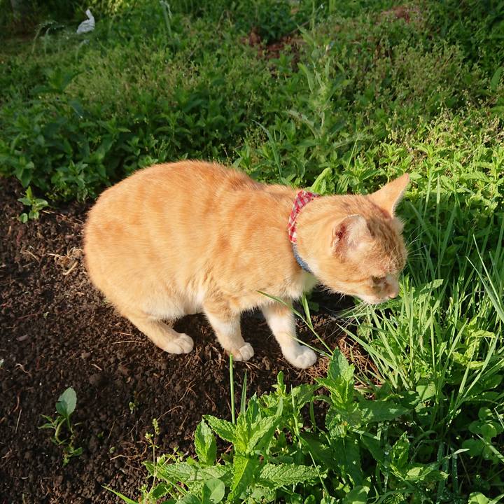 Fec33620 3145 4cf2 9950 d53c04a30a8e 1559982679553