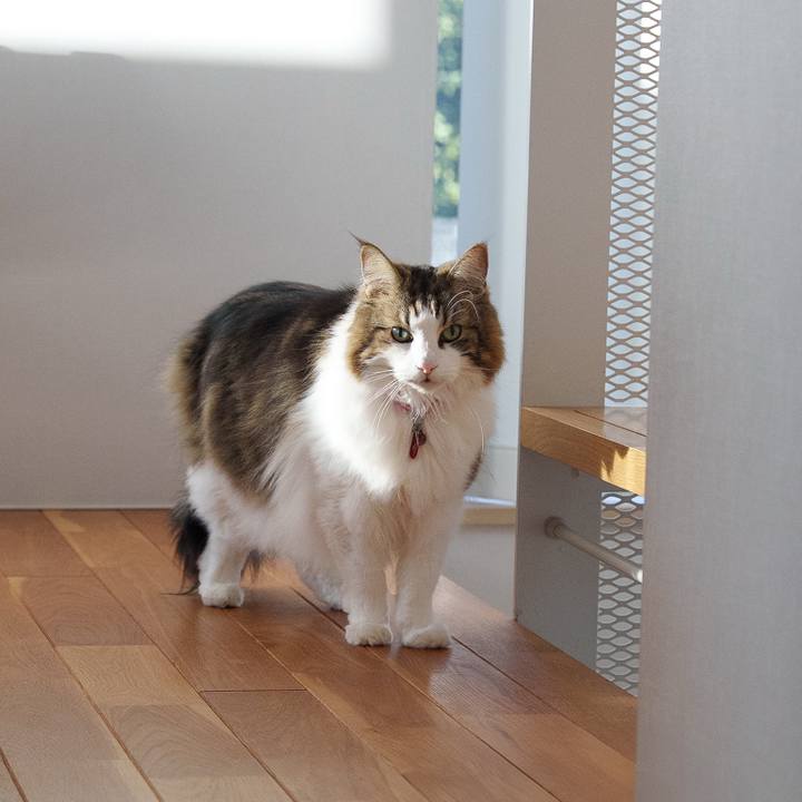 Fec33cdf 0193 4845 a3c5 ef499b4026b4 1742198895965