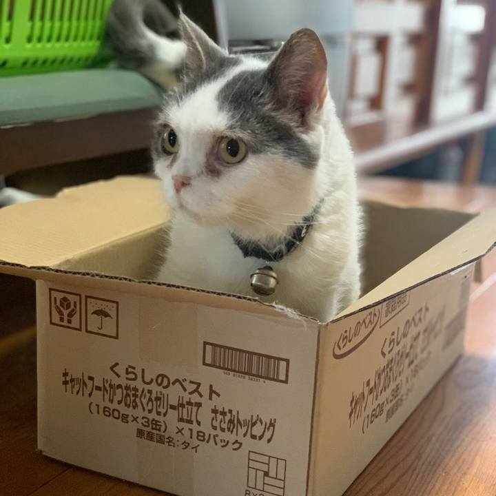 Fec45965 454e 4111 85ee 6da1560f825b 1752536626185