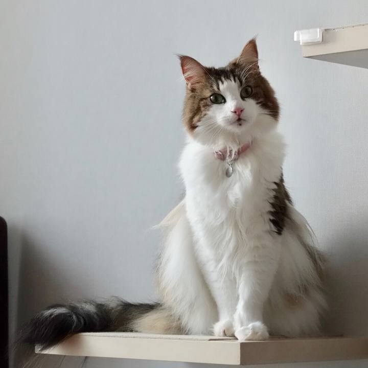 Fec4bb91 1c26 45df bca9 6e90d25dc523 1568879130451