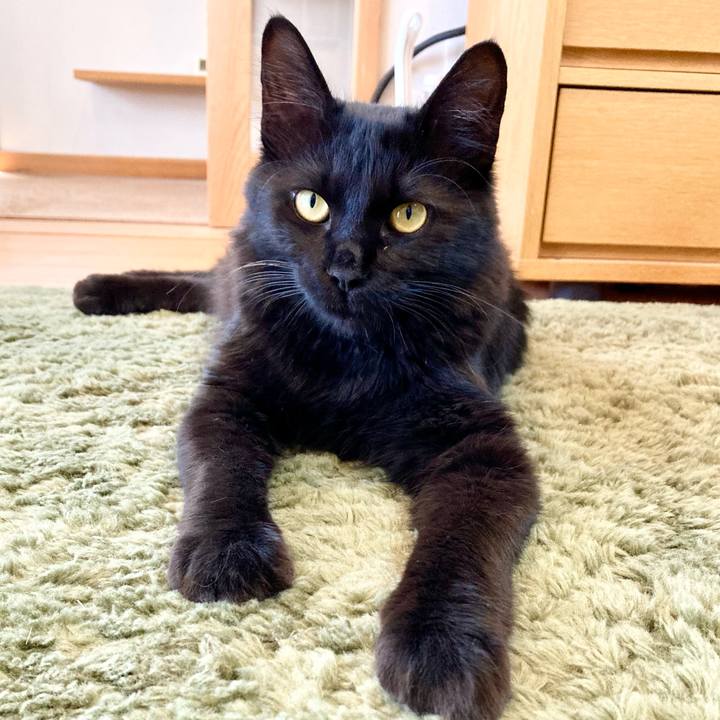 Fec4d4bf f8ba 41d3 b5bd 40cd574a9dd7 1714803250657