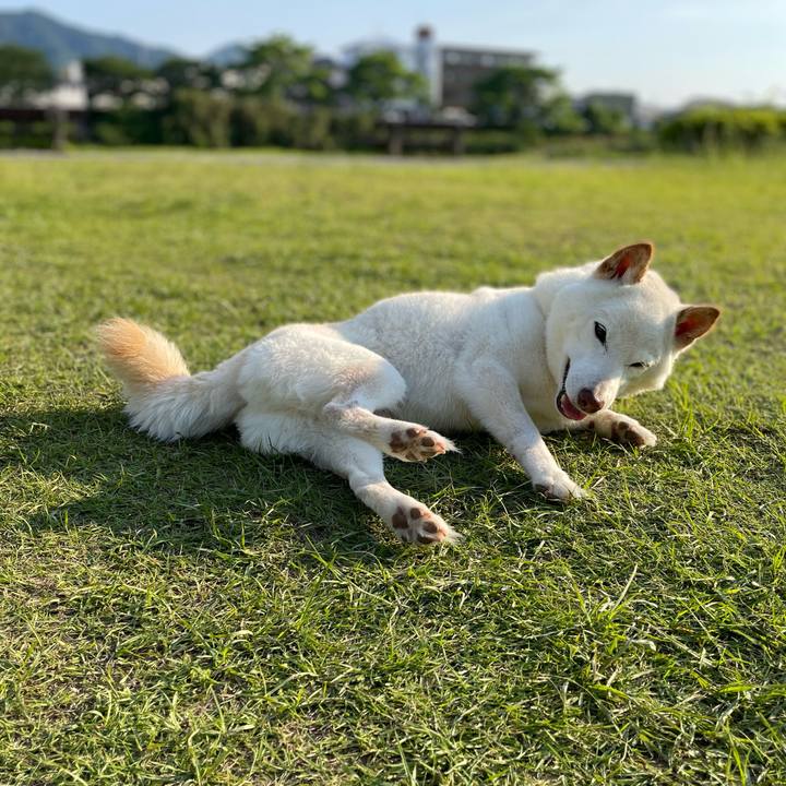 Fec4d76d 977c 449a 8869 1d210dca89fa 1652883153490