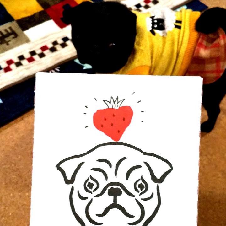 Fec4fdcb 0dcd 479c 9865 097fe6b446ac 1581240544522